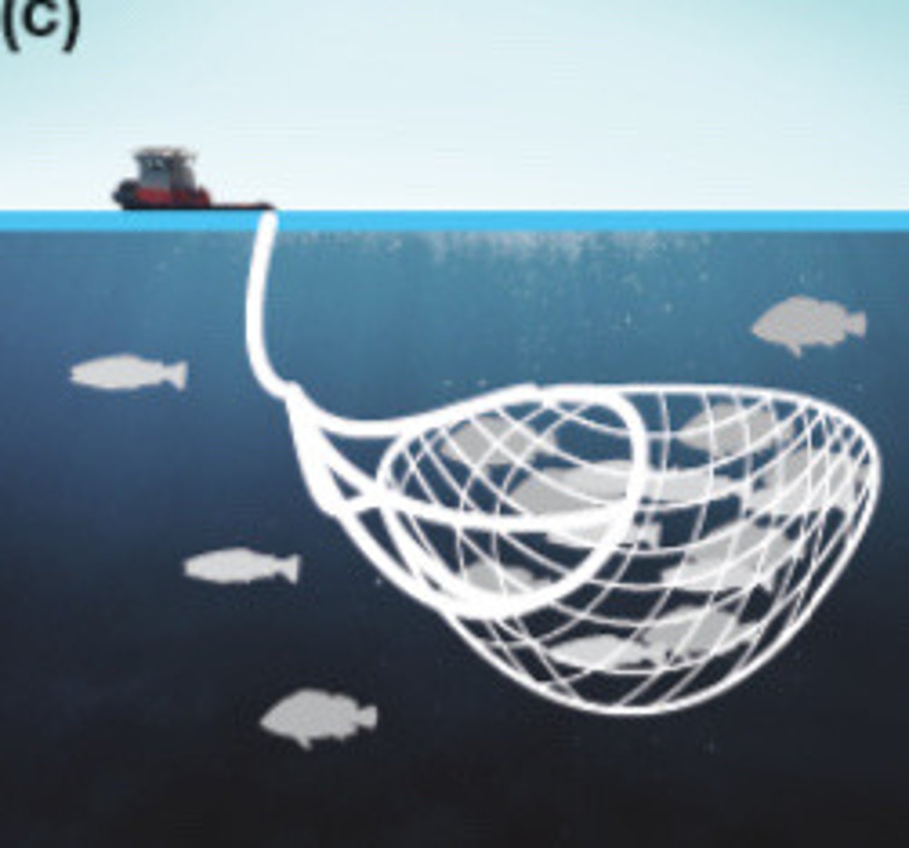<p>Nets are pulled through the water above the ocean bottom</p>