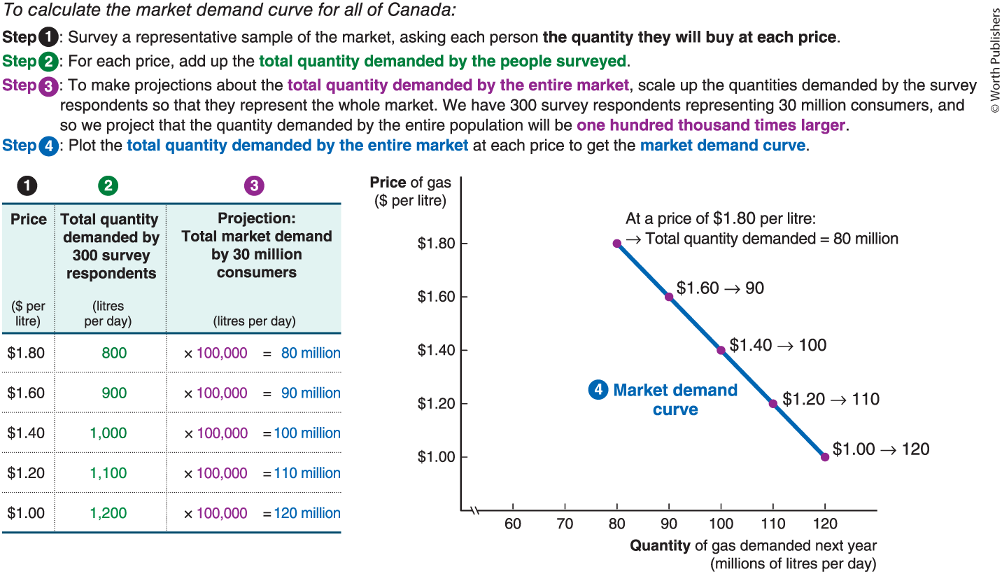 <p><strong>Steps to Calculate the Market Demand Curve:</strong></p><ol><li><p><strong>Survey</strong> a representative sample, asking how much each person would buy at each price.</p></li><li><p><strong>Add up</strong> the total quantity demanded by the people surveyed at each price.</p></li><li><p><strong>Scale up</strong> the survey results to represent the entire market (project to population size).</p></li><li><p><strong>Plot</strong> the total quantity demanded at each price to get the <strong>market demand curve</strong>.</p></li></ol><p></p>