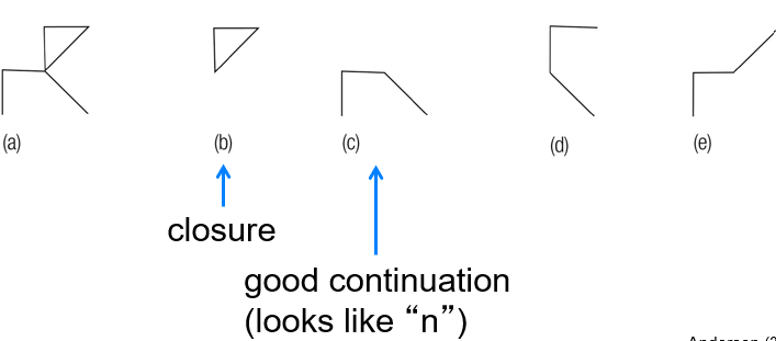 <ul><li><p>similarity</p></li><li><p>closure</p></li><li><p>good continuation </p></li><li><p>proximity </p></li><li><p></p></li></ul><p></p>