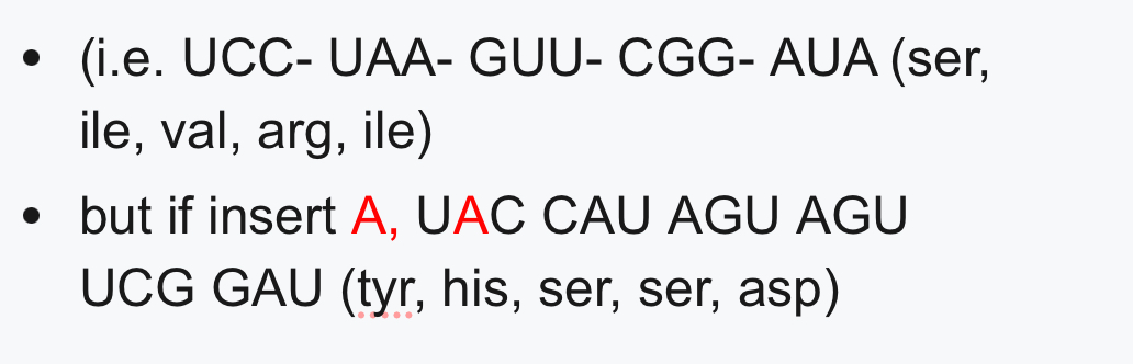 <ul><li><p>1+ nucleotide inserted/deleted </p></li><li><p>→ shifts whole sequence after</p></li></ul><p></p>