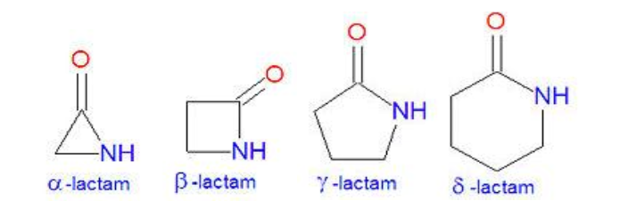 <p>Cyclic amide </p>