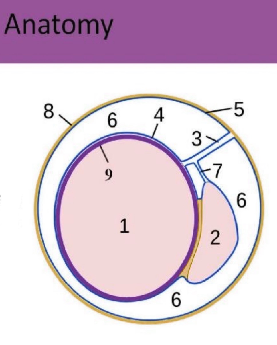 <p>What is #7?</p>