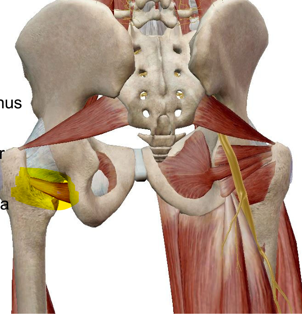 <p>name highlighted</p>