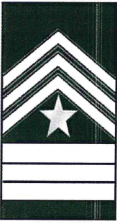 <p>SGM</p>