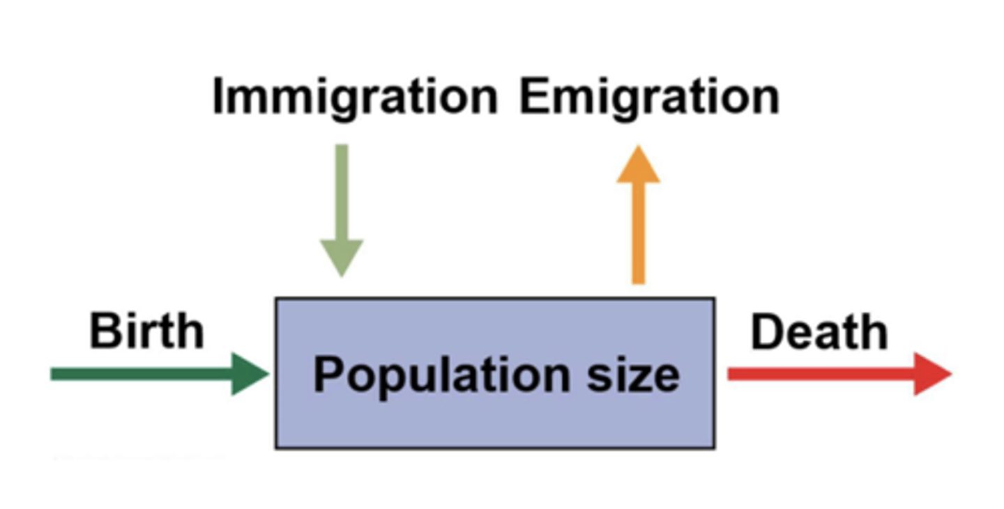 <p>the arrival (birth and immigration) and loss of individuals (death and emigration)</p>