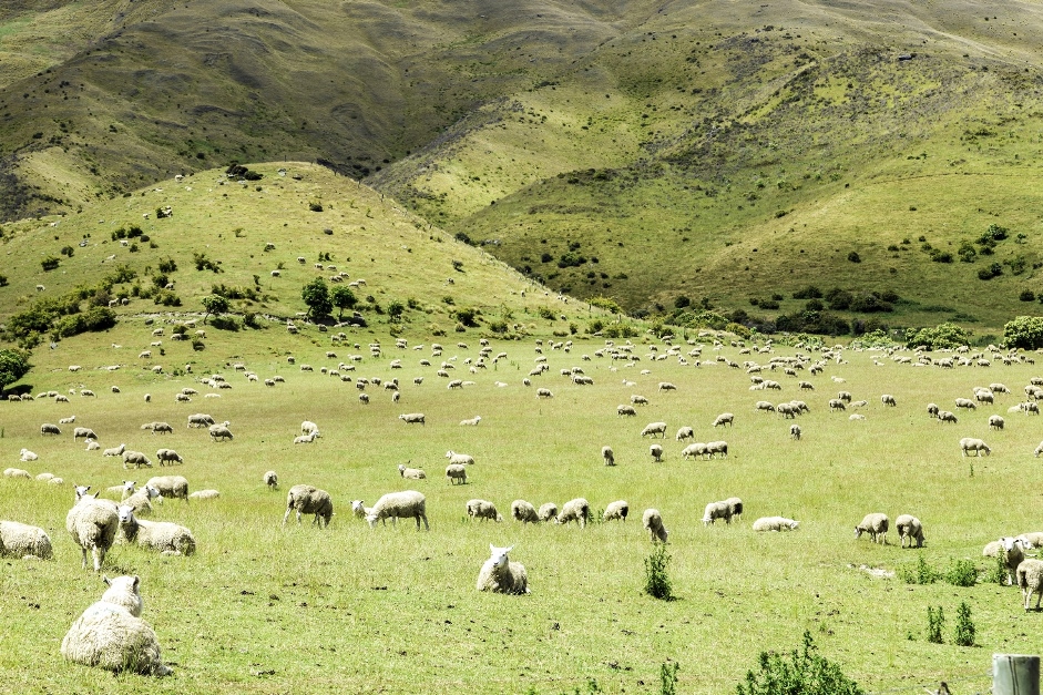 <p><span><strong>extensive </strong>adjective</span></p><p><span>( </span><strong>The company conducted an extensive market research to gather great amount of data for analysis) </strong></p>