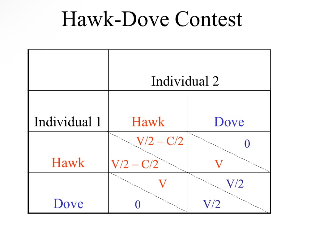 <p>Evolutionarily Stable Strategy: A behavior that has higher fitness than any other and so cannot be invaded by another behavior,</p><p>or</p><p>the stable mix of behaviors where no particular type can do better than the other.</p><p>Let us consider two behavioral types:</p><p>The HAWK: aggressive, will fight opponent if also aggressive</p><p>The DOVE: not aggressive, will run away if opponent is aggressive</p><p>HAWK always wins against DOVE, no injury to either</p><p>HAWK beats HAWK 50% of the time, risk of injury if loses</p><p>DOVE beats DOVE 50% of the time, pay some cost of display</p><p>Assumptions</p><p>– Everyone within a strategy is equal</p><p>– No one knows what opponent will do</p><p>– Strategies are fixed (genetic)</p><p>Fitness variables</p><p>V = Resource gained by winner</p><p>C = Cost of injury to loser if there is a fight</p><p>For HAWKvHAWK:</p><p>Each hawk will have: V/2-C/2</p><p>The resource gained and cost is divided by two because of the inherent interaction between two animals, and also the 50% chance of losing</p><p>For HAWKvDOVE:</p><p>The dove will have: 0</p><p>The hawk will have: V</p><p>The dove will always flee, gaining and losing nothing</p><p>The hawk will always win, with full resource gained</p><p>For DOVEvDOVE</p><p>There is no inherent cost so;</p><p>Doves will both have: V/2</p><p>The resource gained is cut in half due to the 50% chance of losing between the two birds as well</p><p>Hawk is better against Hawk than Dove is if C &lt; V</p><p>[for my math illiterate homies: if cost is less than resource gained]</p><p>Dove is better against Hawk than Hawk is if C &gt; V</p><p>[if the cost is greater than the resource gained]</p><p>Hawk is better against Dove than Dove is if V &gt; 0.</p><p>[if the resource gained is greater than 0]</p><p>Hawk is the evolutionary stable strategy if resources gained is greater than the cost associated</p><p>Dove, though, is NEVER an evolutionary stable strategy [sorry dove]</p><p>This is an example of FIXED strategy: one response every time (genetic)</p><p>And Pure ESS: all one type in population</p>