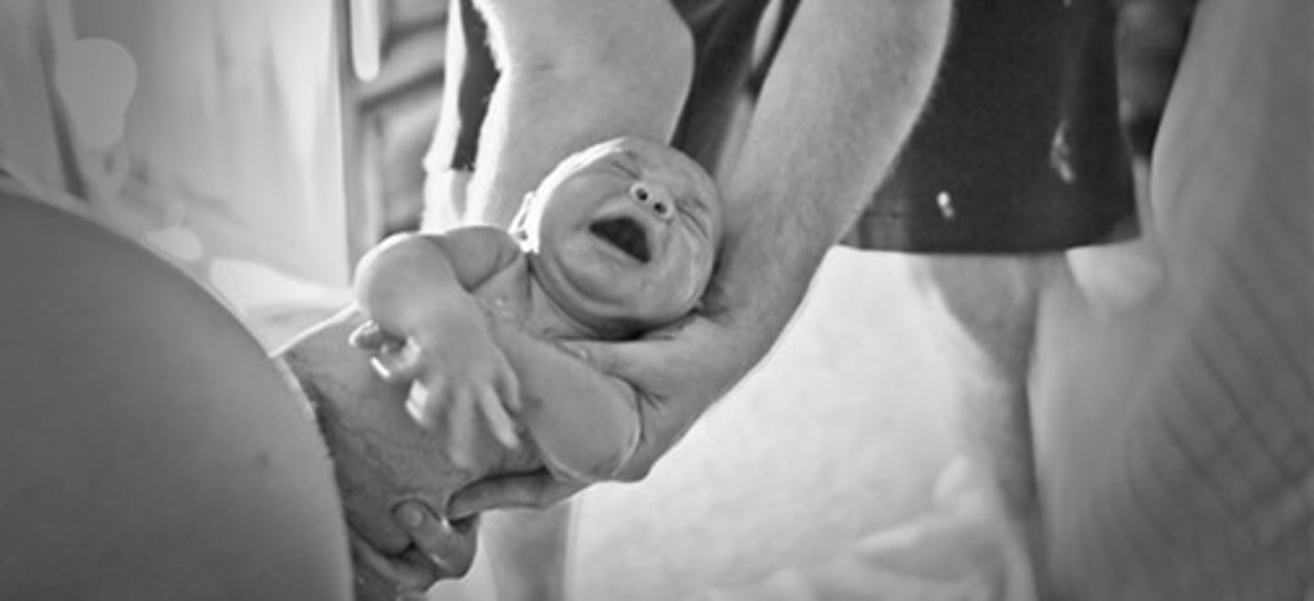 <p>birth</p>