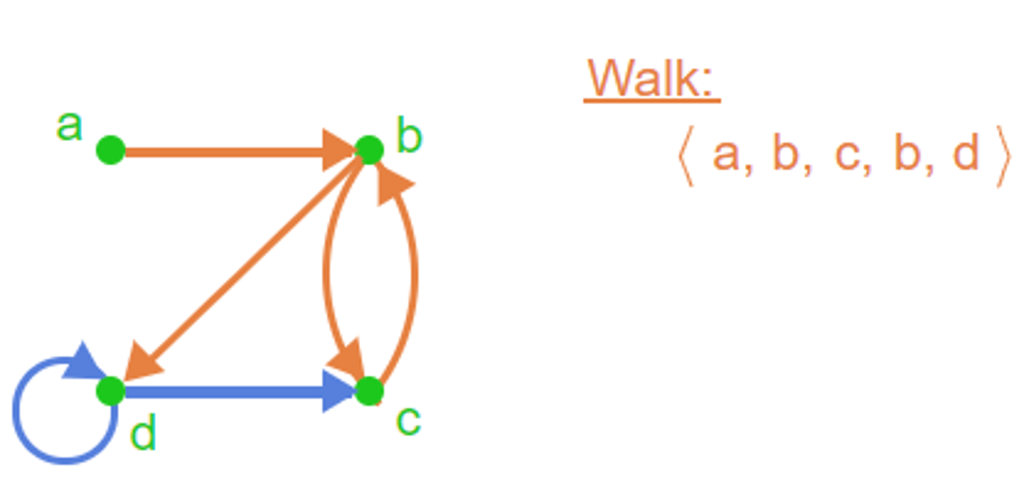 <p>An open walk in which no edge occurs more than once.</p>