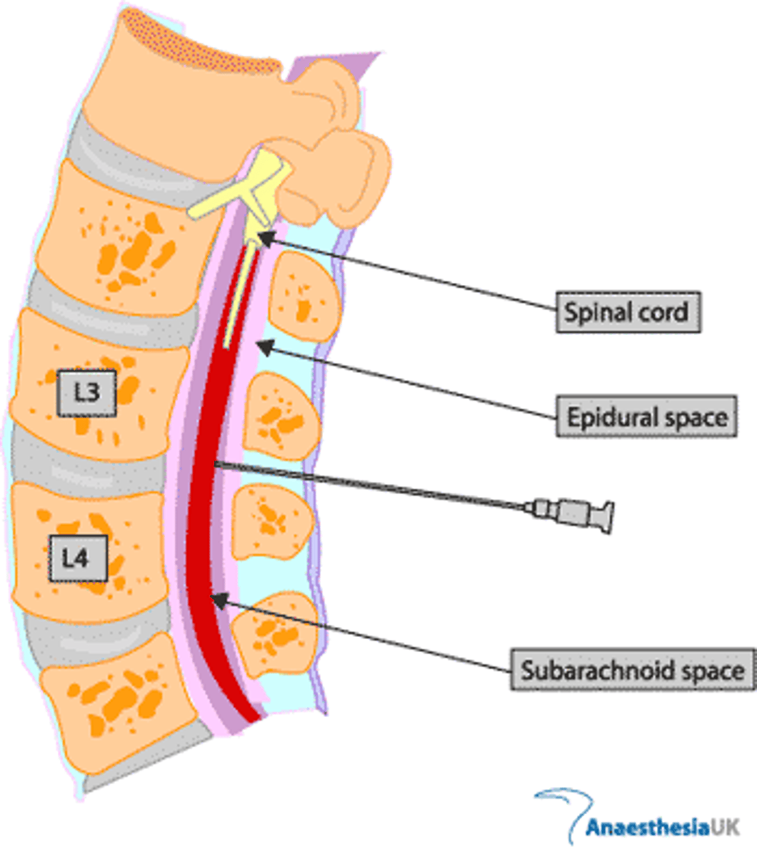 <p>image</p>