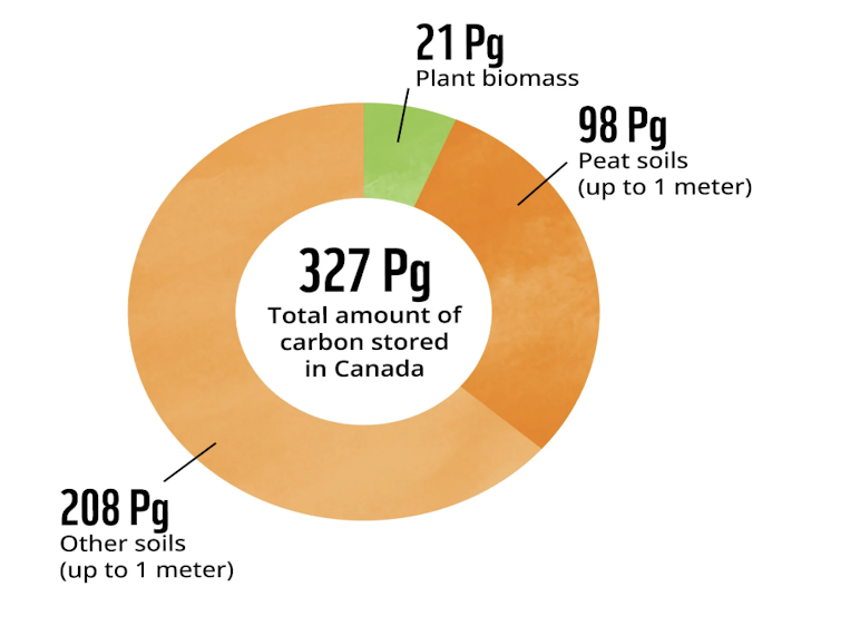 <p>what is this picture showing </p>