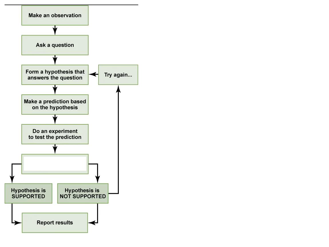 <p>What step is this in the scientific method?</p>