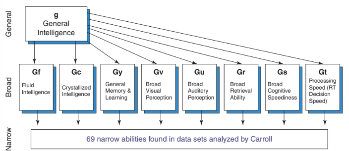 <p>3 layers</p><ul><li><p>1 - general intelligence, kind of like spearman’s g</p></li><li><p>2 - 8 abilities that are correlated with each other to some extent (fluid int., crystallized int., general memory and learning, broad visual perception, broad auditory perception, broad retrieval ability, broad cognitive speediness, processing speed/decision making)</p></li><li><p>3 - 69 narrow specialized abilities </p></li></ul><p></p>