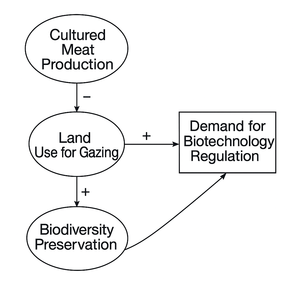 <p>What is the chain of indirect relationships from Cultured Meat Production to Extinction Rates?</p>