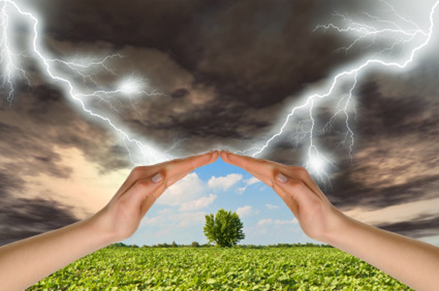 <p>a peaceful mind, doesn't get upset easily</p>