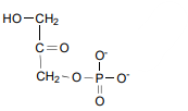 <p>Dihydroxyacetone Phosphate (DHAP) </p>