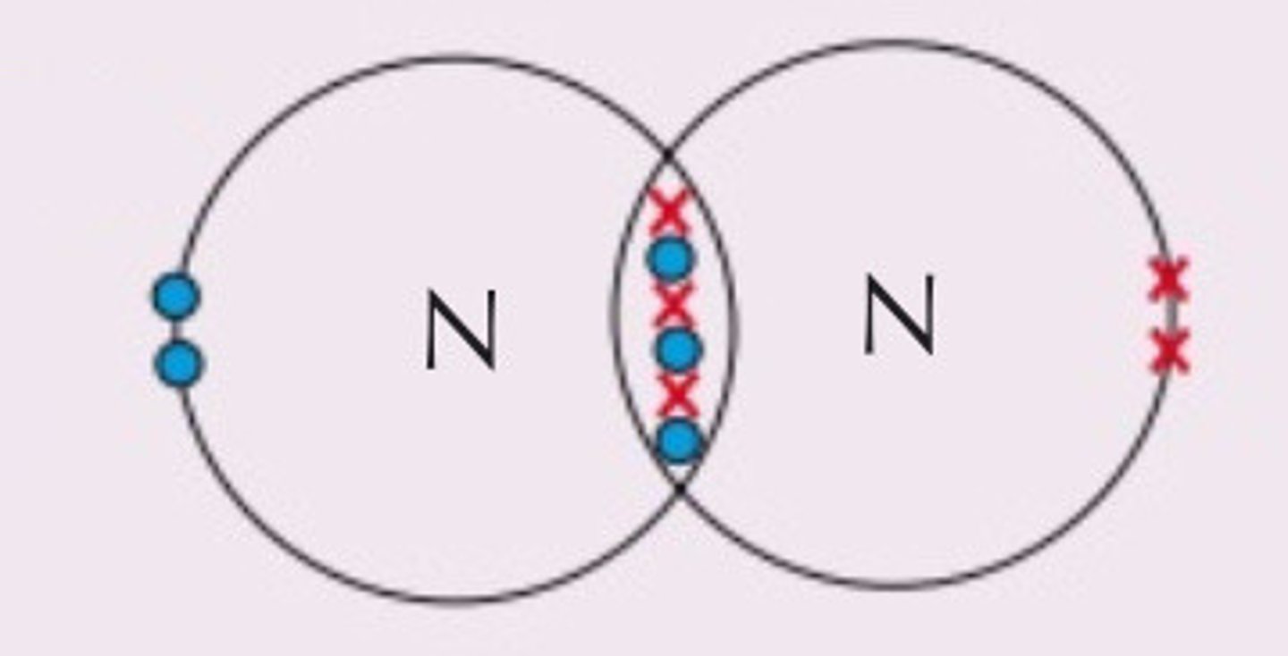 <p>covalent bond --> nitrogen = nonmetal (</p>