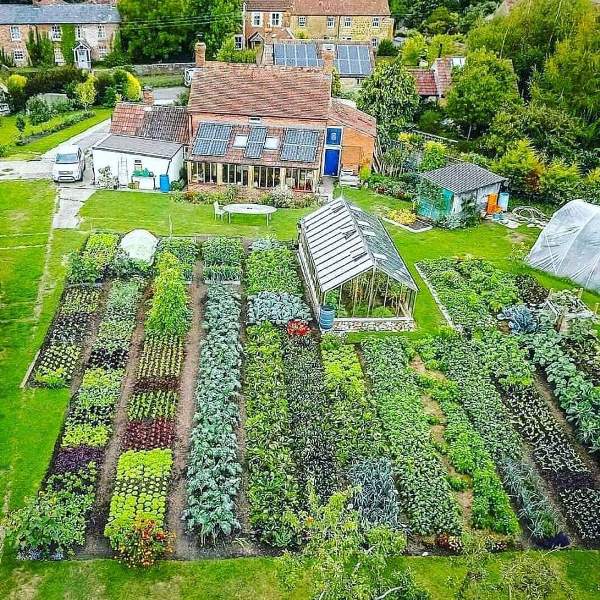 <ul><li><p>a type of farming that produces fruits, vegetables, and flowers</p></li><li><p>typically serves a specific market or urban area</p></li><li><p>driven by the likeliness to spoil</p></li></ul><p></p>