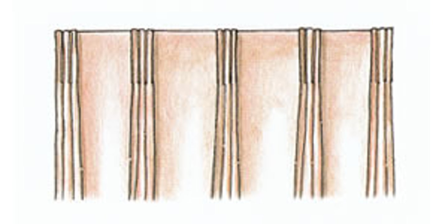 <p>aka Pinch Pleats. Composed of 3 folds. Most often used in standard draperies. Made by dividing one fat pleat into 3 smaller ones, but not creasing them.</p>