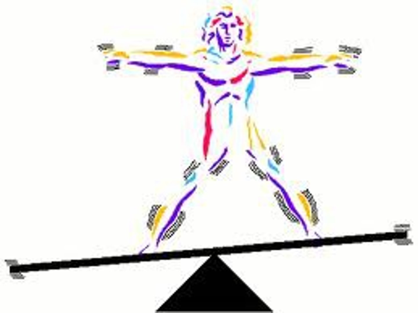 <p>the maintenance of a relatively stable internal environment in the body despite changes in the external environment.</p>