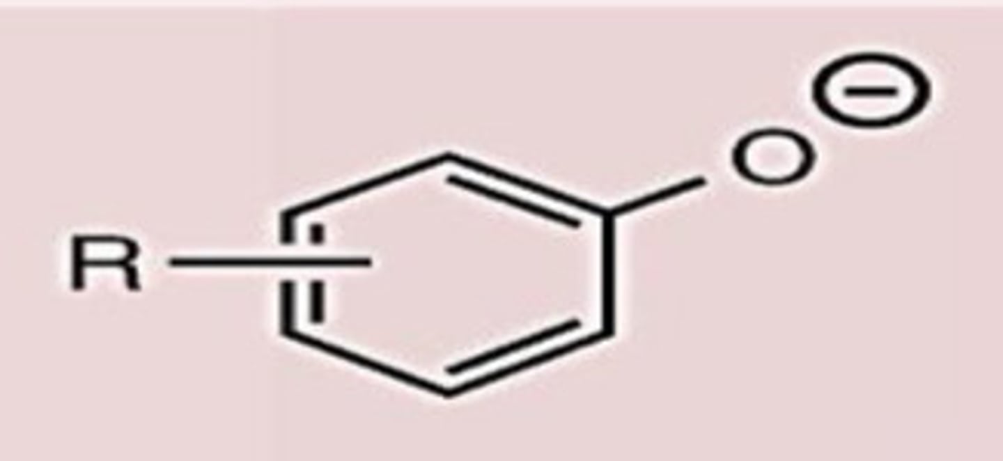 <p>Conj. Base</p>