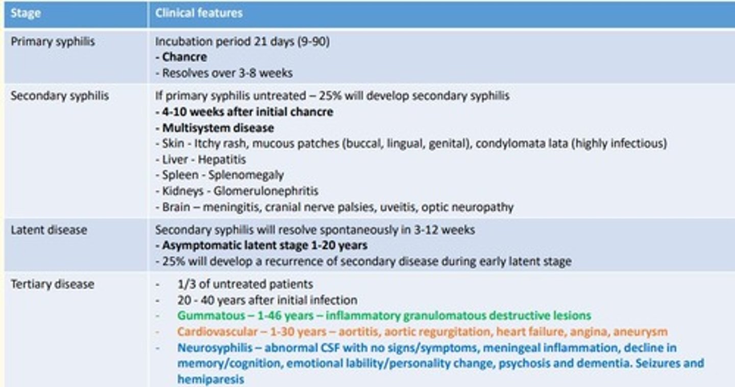 <p>PRIMARY SYPHILIS</p><p>- Chancre found in genital area </p><p>- Chancres do not result in pain </p><p>SECONDARY SYPHILIS</p><p>- Skin rash = spots on palms of hands &amp; bottom of feet</p><p>- Mucous membrane lesions throughout body (not itchy)</p><p>- Fever, sore throat, headache, swollen glands, weight loss, muscle ache, fatigue</p><p>TERTIARY SYPHILIS</p><p>- Blood vessels, cardiac, nerve system problems</p><p>- Damaged internal organs</p><p>- Death cases </p>