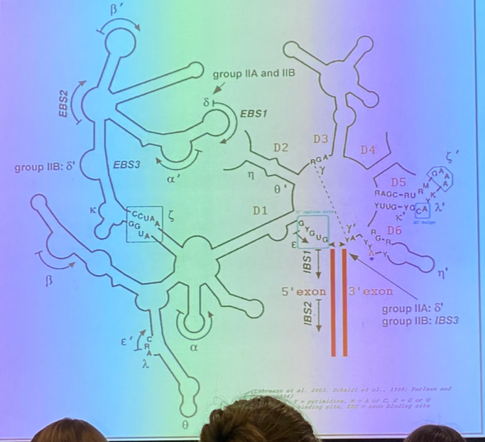 <p>what is this image depicting?</p>