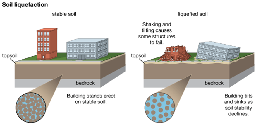 <ul><li><p>Tsunami</p><ul><li><p>Classified as a shallow water wave bc the wave is bigger than the depth of the ocean it moves over</p></li><li><p>Earthquakes cause tsunami - as a result of fault movement in a subduction zone</p></li><li><p>As oceanic plate = subducted — typically locks on to part of the continental plate and drags it with it</p></li><li><p>At some point the connection = broken + crust spring back in the direction of the ocean — this is a process called elastic rebound</p></li><li><p>Sudden movement of ocean floor around the fault leads to ocean displacement + series of tsunami waves</p></li><li><p>Eg. 2011 Japan tsunami - fault movement can be as much as 10meters = means that 10 meters of water is pushed upwards</p></li></ul></li><li><p>Fires</p></li><li><p>Liquefaction</p><ul><li><p>Soil liquefaction also called earthquake liquefaction </p></li><li><p>Similar impact to landslide</p></li><li><p>Ground failure or loss of strength </p></li><li><p>Leads to soil behaving temporarily as a viscous liquid </p></li><li><p>Occurs in water-saturated soils affected by s waves </p></li><li><p>These waves cause ground vibrations during earthquakes </p></li><li><p>areas with poorly drained find-grained soils (sandy, gravelly soils) = most susceptible to liquefaction</p></li><li><p>Eg. 2010 earthquake Christchurch, New Zealand — Large parts of the centre liquefied close to the river banks - ground sank leading roads and buildings to subside </p></li><li><p>Eg. Indonesia, Sulawesi - Palu = liquefaction largely impacted</p></li></ul></li><li><p>Landslides/avalanches</p><ul><li><p>The stress exerted on unstable slopes leads to mass movement </p></li><li><p>Eg. Island of Hokkaido, Japan = 6.7 earthquake in 2018</p></li></ul></li></ul>