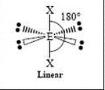 <p>Linear, 180 Degrees </p>