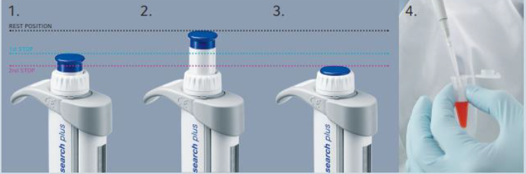 <p>Identify this type of pipetting technique:</p>