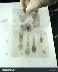 <p>Prints are photographed to scale. Use tape to carefully lift up and preserve evidence. </p>