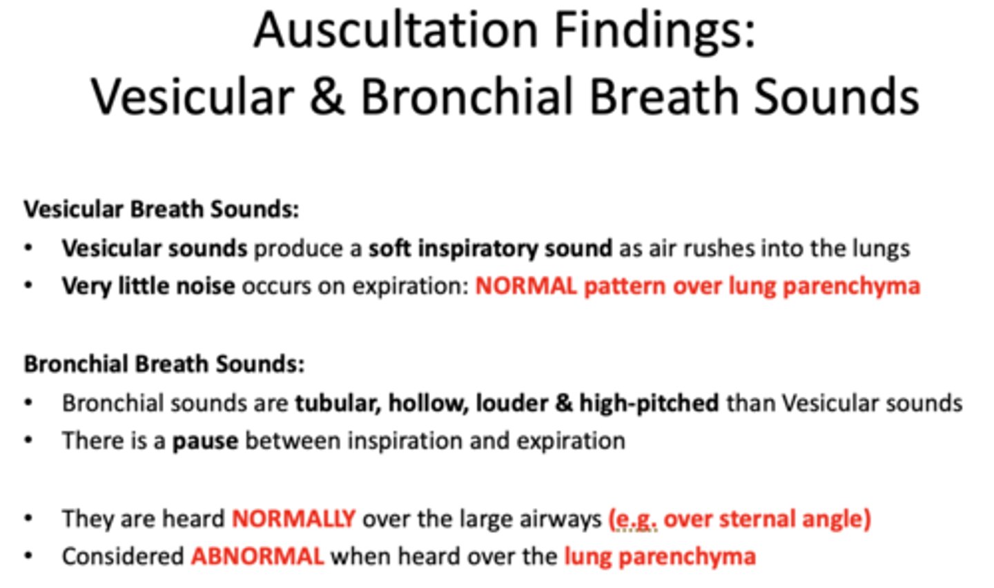 <p>Bronchial Breath Sounds</p>