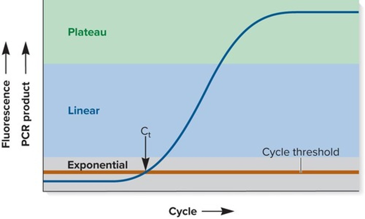 <p>The phases of qPCR include: 1) Initial phase with no detectable fluorescence, 2) Exponential phase where product doubles with each cycle, 3) Linear phase when reagents are somewhat limiting, and 4) Plateau phase when reagents are used up.</p>
