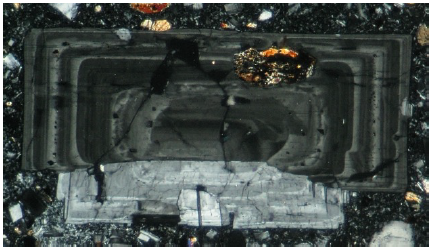 term image