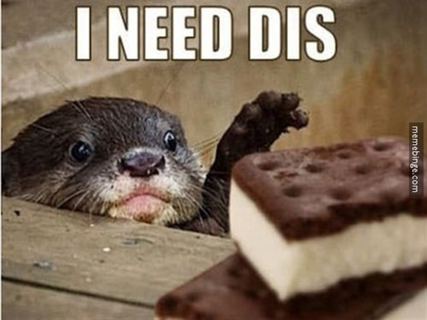 <p>I need . . .</p>