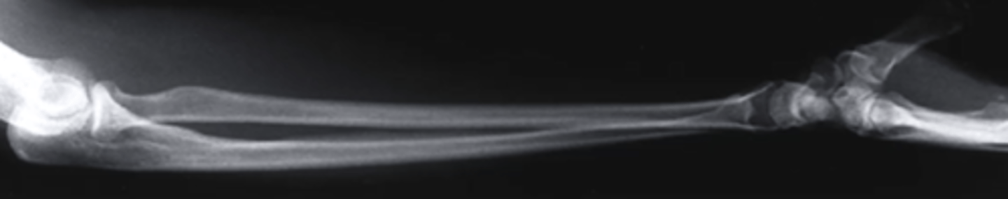 <p>what view is this</p>