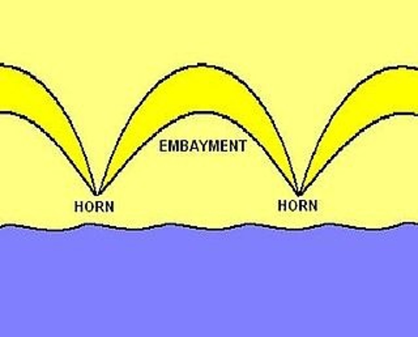 <p>1. due to the conflict of different wave directions and wave heights (due to refraction and reflection in a bay) there is a difference in distribution of wave energy <br><br>2. where the wave has reached a higher height, there is more power/energy so the wave can erode more of the bay <br><br>3. in the areas where the wave height has been decreased, the wave has less energy and doesn't erode as much <br><br>4. this is what forms cusps as the areas with high erosion become embankments and the areas with low erosion become horns<br><br>5. the cusp then self-organises itself so that the flow of water creates relief patterns by developing lower relief areas <br><br>6. these lowered relief areas attract and accelerate water particles so that they have more energy, and the relief is further eroded <br><br>7. through positive feedback, the relief becomes more and more eroded which creates an embayment <br><br>8. areas with higher relief (the horns) slow the water down and sediment is deposited on top of them, increasing their impact</p>