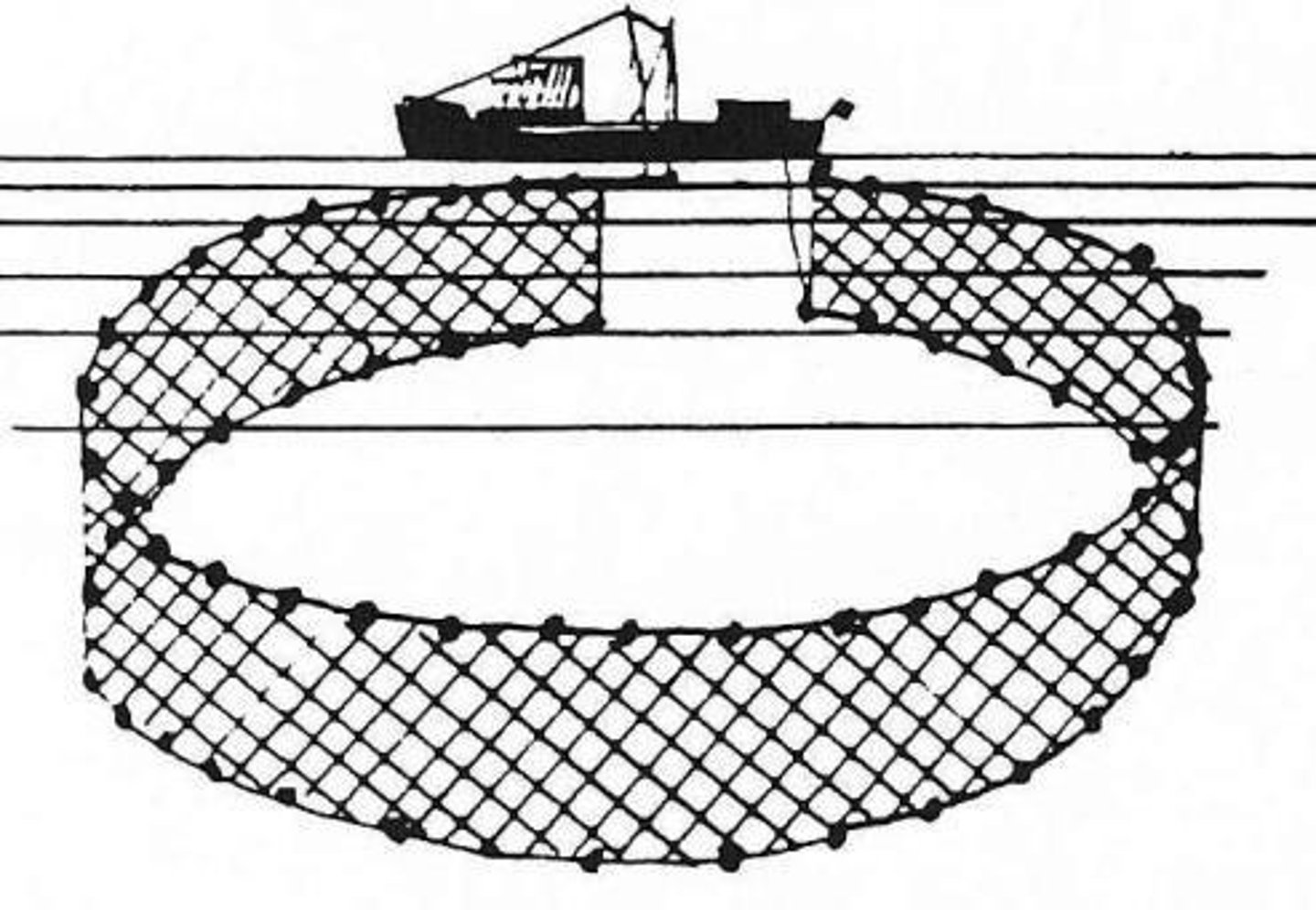 <p>Purse seining is a method of fishing that involves circling a school of fish with a net.</p>