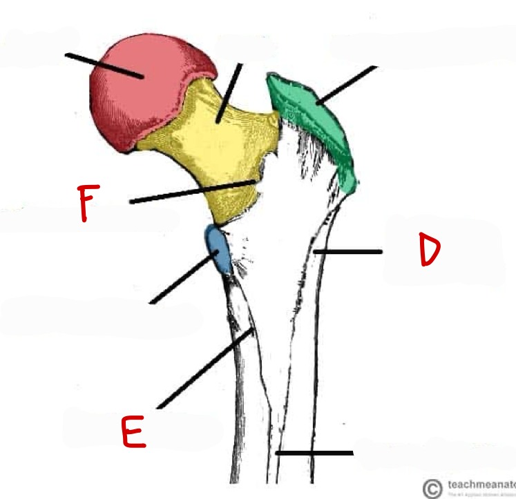 <p>d</p>