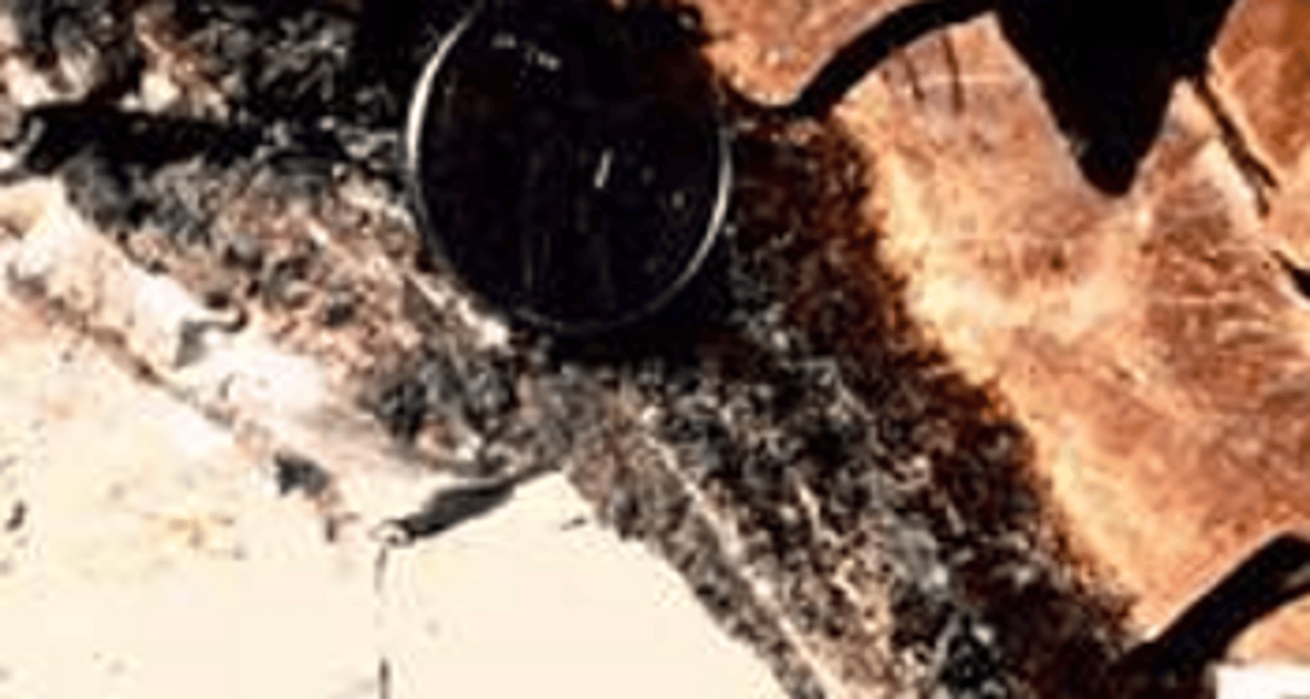 <p>The K-T boundary layer</p>