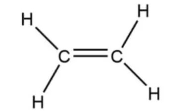 <p><span>What Functional group is this?</span></p>