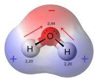 <p>Molecule where one end is + and the other - </p>