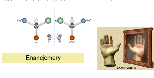 Węgiel alfa każdego aminokwasu jest węglem asymetrycznym - wiąże cztery różne podstawniki
wyjątek: GLICYNA - nie zawiera węgla asymetrycznego -> optycznie nieczynna