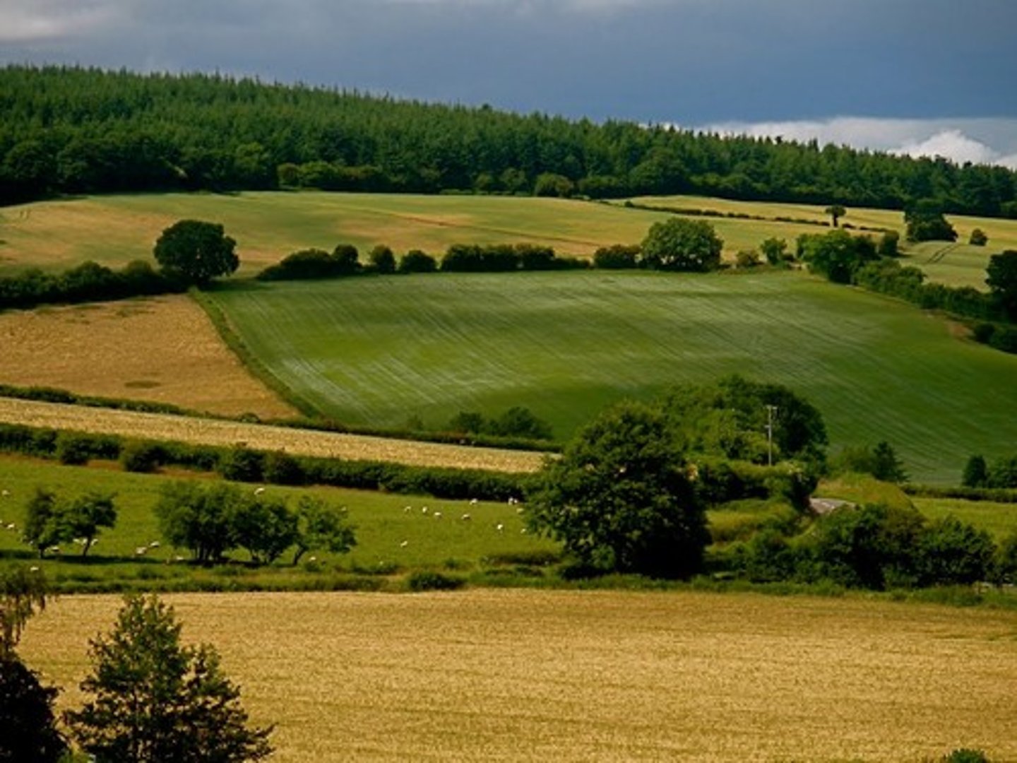 <p>The practice of the confiscation of commons lands by wealthy landowners and the forced fencing of lands meant to deprive small landowners of their land; poor farmers were displaced and went to live in cities and became the factory workers of the Industrial Revolution</p>