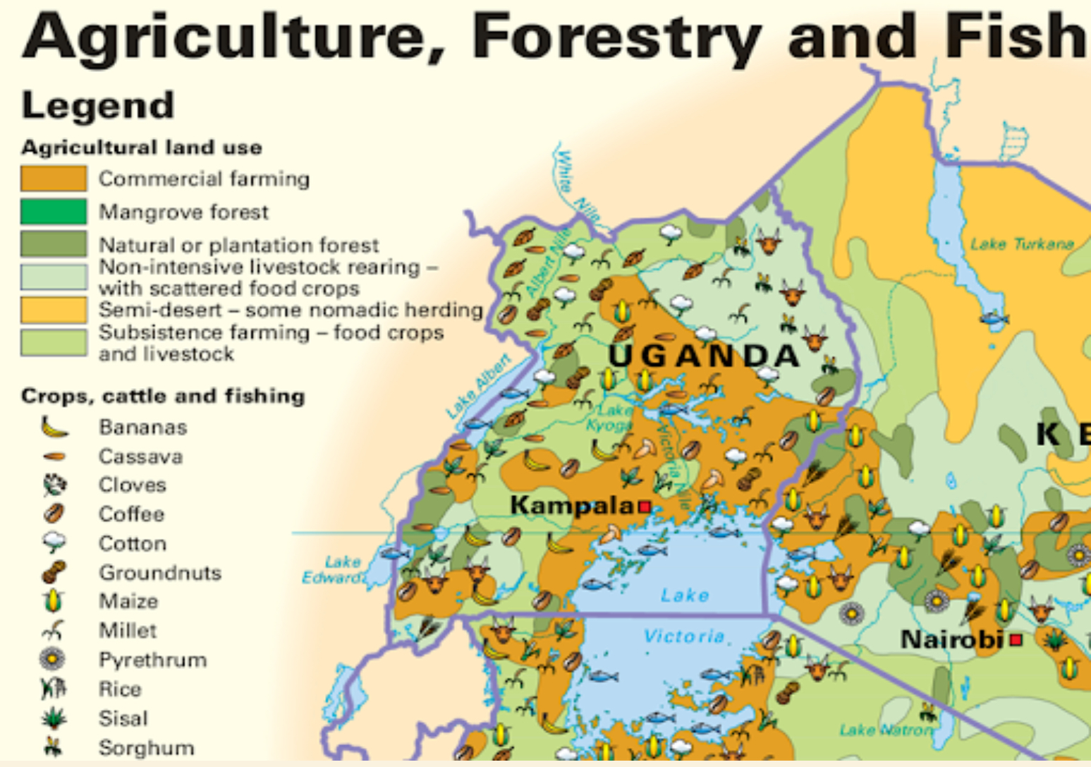 <p>Thematic Map</p>