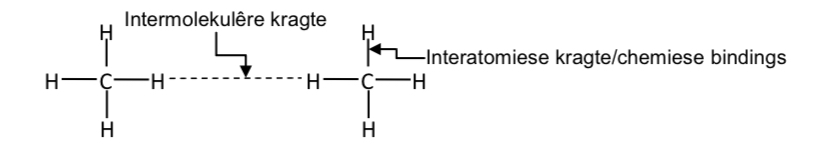 <ul><li><p>Intramolekulêr (interatomies): sterk C–H kovalente bindings hou atome in een molekule bymekaar.</p></li></ul><ul><li><p>Intermolekulêr: swak London-dispersiekragte hou verskillende CH₄-molekules.</p></li></ul><img src="blob:null/c7aae834-9c5c-46be-a773-f63536aac8df"><img src="blob:null/1f0e174e-2fc7-4161-aabb-033331c5c878"><img src="blob:null/c18a5bac-78f6-4ea4-b318-ca0a4b5b7b37">