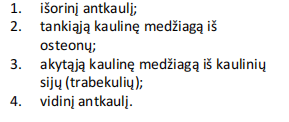 <p>ilgojo kaulo epifizės sersinis pjūvis</p>