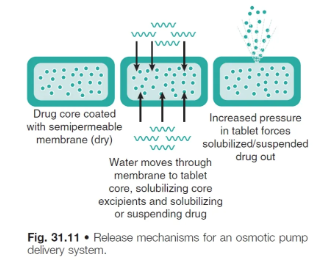 <ol><li><p><strong>osmotic transport</strong> of liquid into the unit</p><ul><li><p>the tablet core is coated with a semi-permeable membrane that allows only water to pass into the core</p></li><li><p>drug dissolves once water diffuses into the core</p></li></ul></li><li><p><strong>dissolution of drug</strong> <em>increases </em>the <strong>internal hydrostatic force</strong></p></li><li><p><strong>drug solution/suspension</strong> is then <em>forced out </em>of the tablet via a <strong>laser drilled orifice</strong> due to increasing hydrostatic pressure inside the tablet</p><ul><li><p>drug does NOT diffuse out of the semi-permeable membr as it is NOT permeable to the drug</p></li></ul></li></ol><p></p>