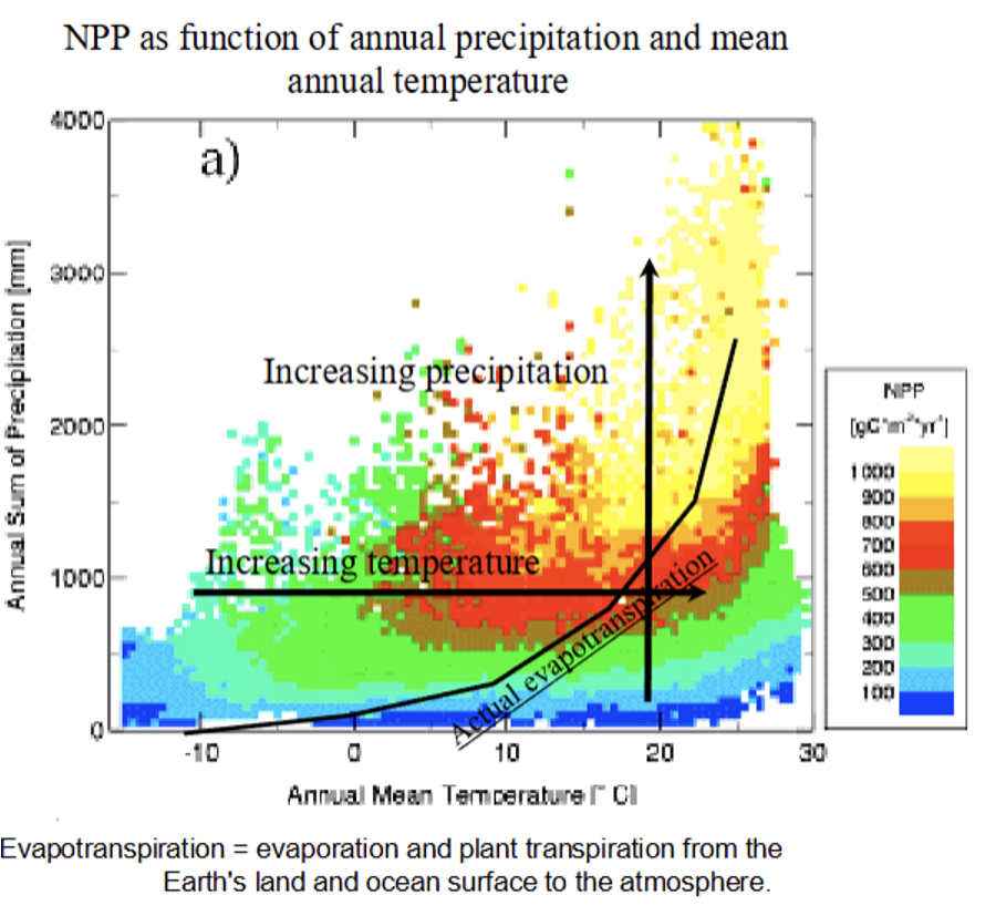 <p>The Hotter it is, it gets too hot for productivity to occur. However, if there's an increase in water, there's a latitudinal gradient that tells us about where species occur and where species diversity changes on the plant</p>