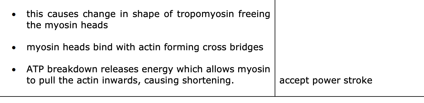3rd bullet point